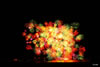 2009年 三重 熊野大花火大会 写真集 | 鬼ヶ城大仕掛け 彩色乱咲千輪 【和田煙火】